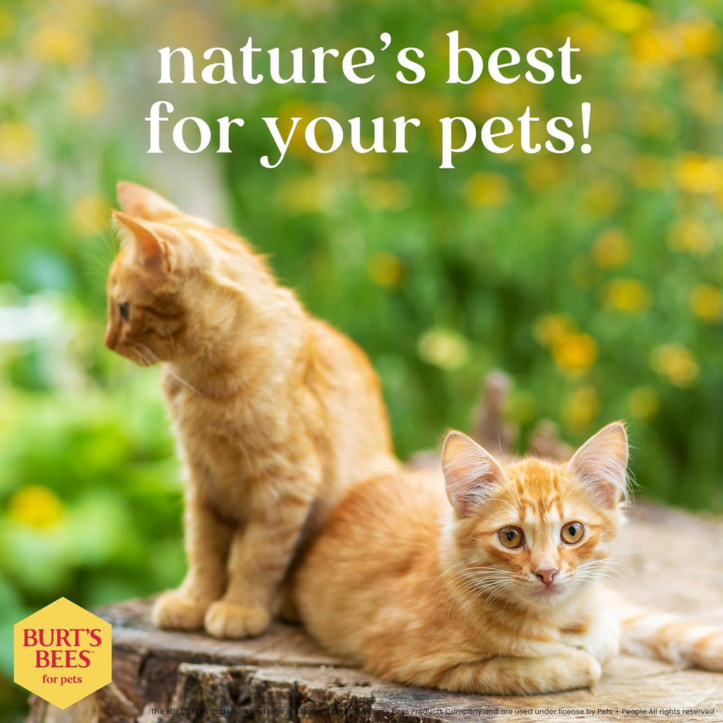 Hypoallergenic Shampoo for Cats with Shea Butter and Honey, 99.7% Natural Origin Formulas, Pet Cleanser for Cats, Gentle Feline Wash Itchy Skin, 2Pk, 10 Oz