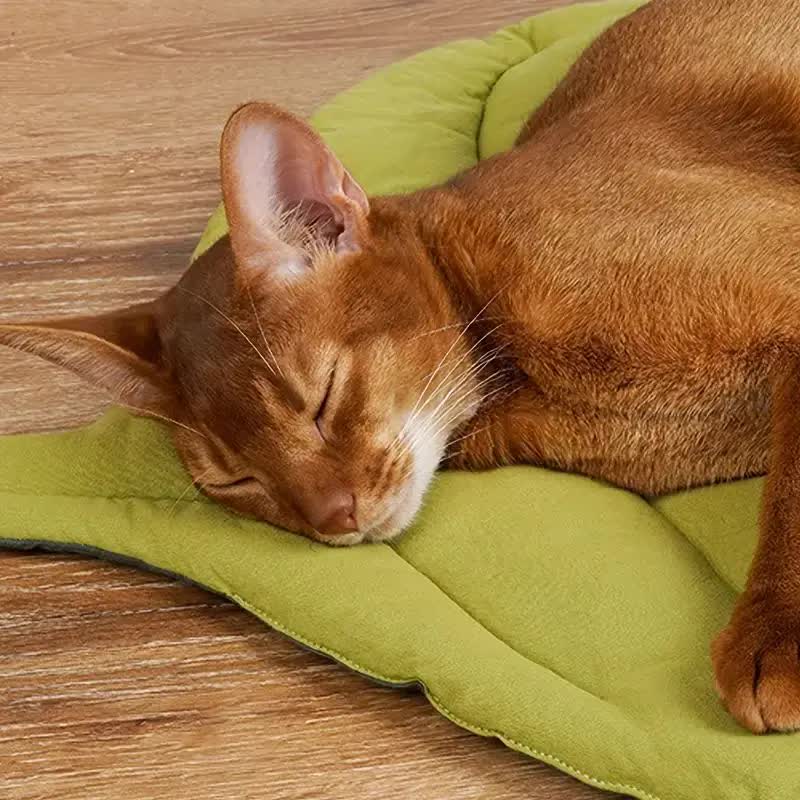 NNEDSZ 2 Pcs Green Leaf-Shaped Pet Sleeping Mat - Durable Dog Floor Pad & Cat Bed for Sleeping and Playtime