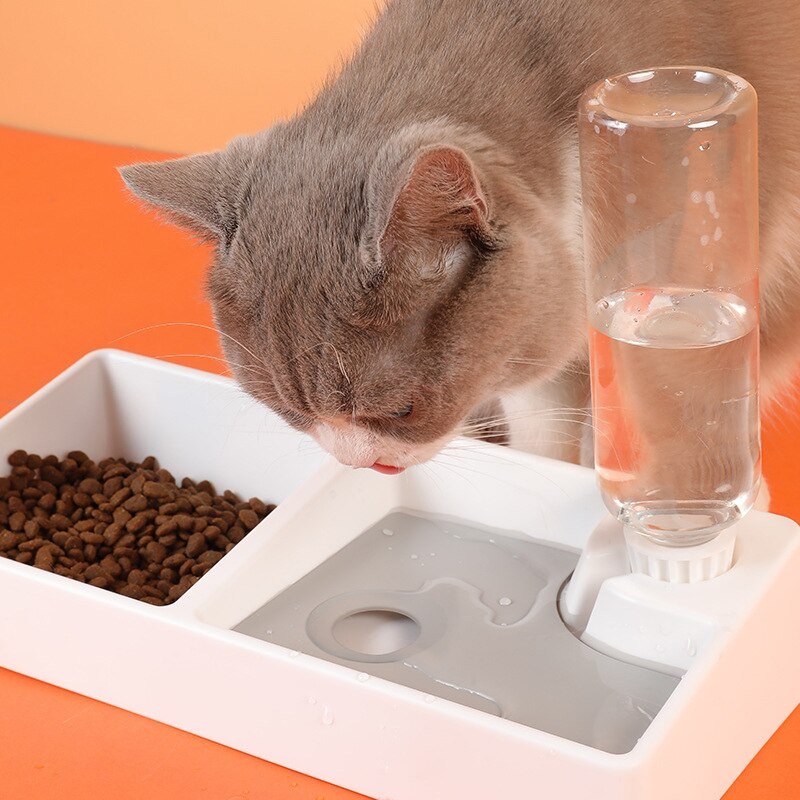 Cat Bowl Dog Water Feeder Bowl Cat Kitten Drinking Fountain Food Dish Pet Bowl Goods Automatic Water Feeder for Cat Dog