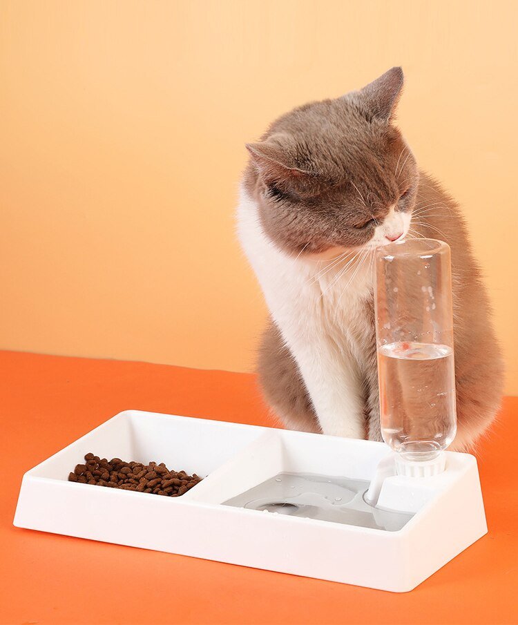 Cat Bowl Dog Water Feeder Bowl Cat Kitten Drinking Fountain Food Dish Pet Bowl Goods Automatic Water Feeder for Cat Dog