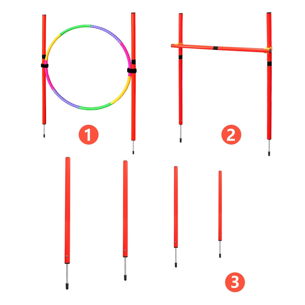 Dog Agility Training Equipment-9