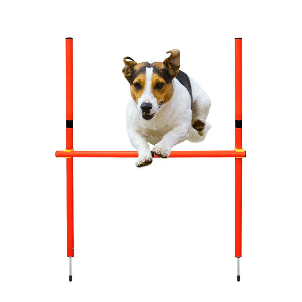 Dog Agility Training Equipment-7