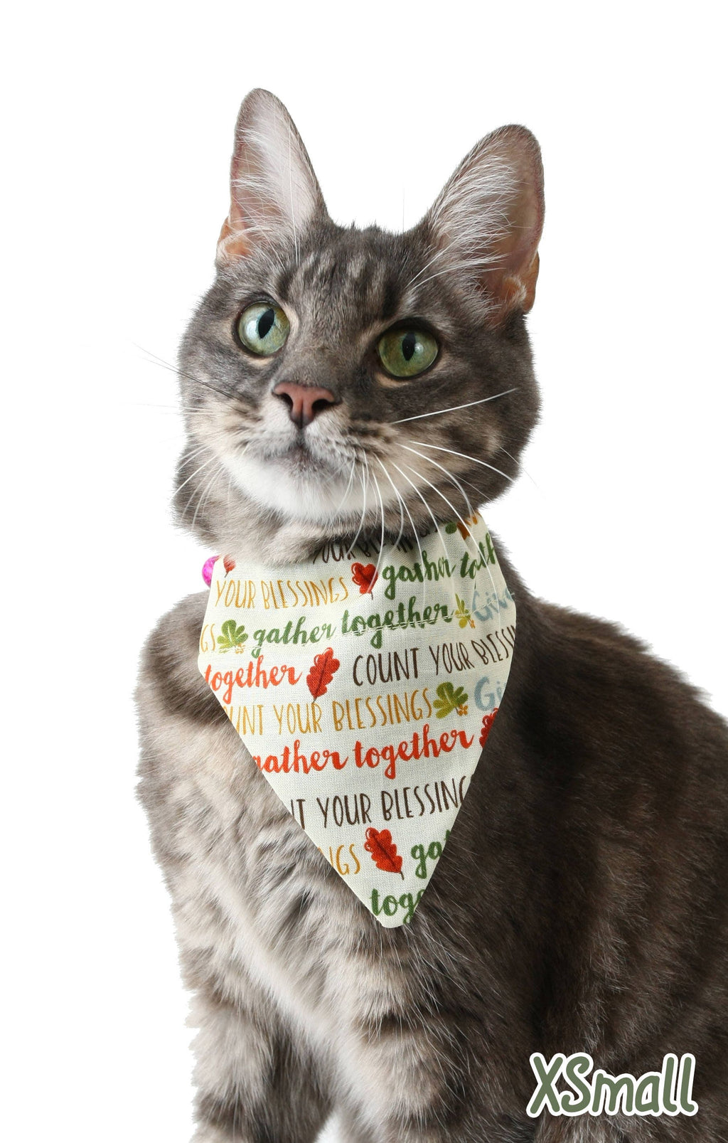 Thankful Words Pet Scarf